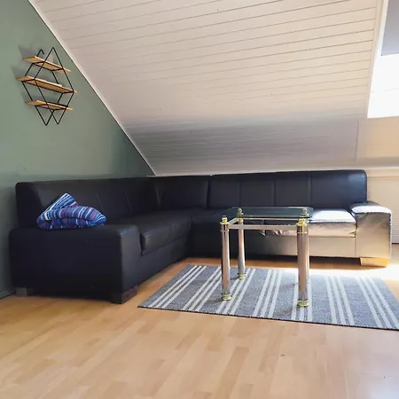 Apartment Neu Renovierte Monteur/ferienwohnung Leimersheim